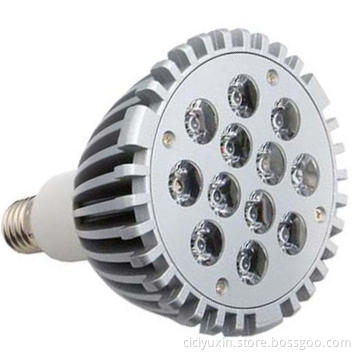 12W LED PAR38 Spotlight